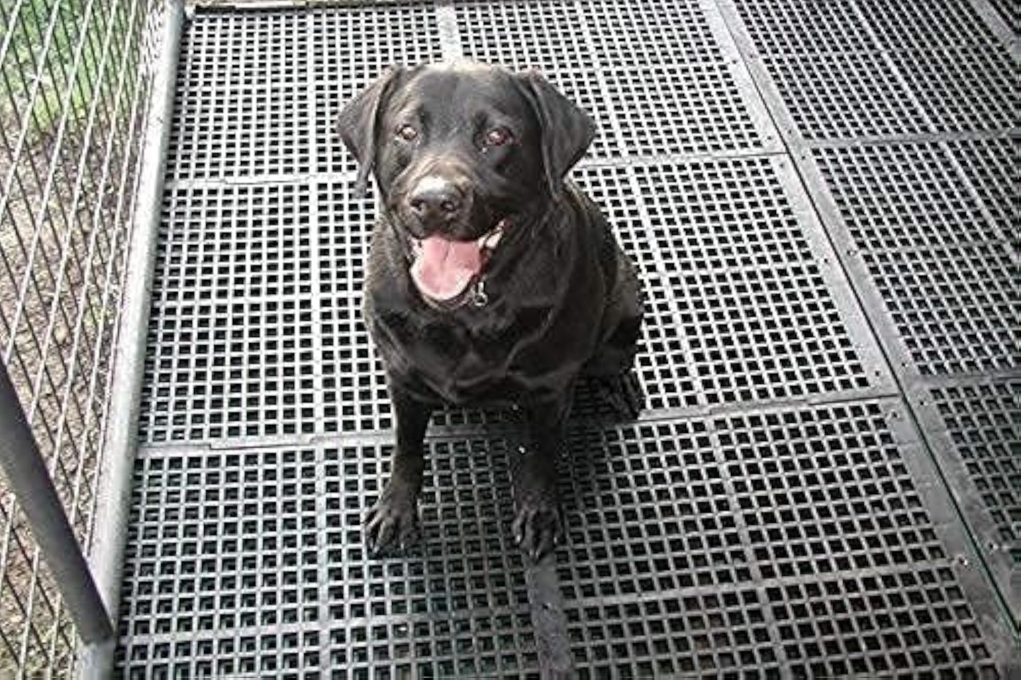 img_11769990