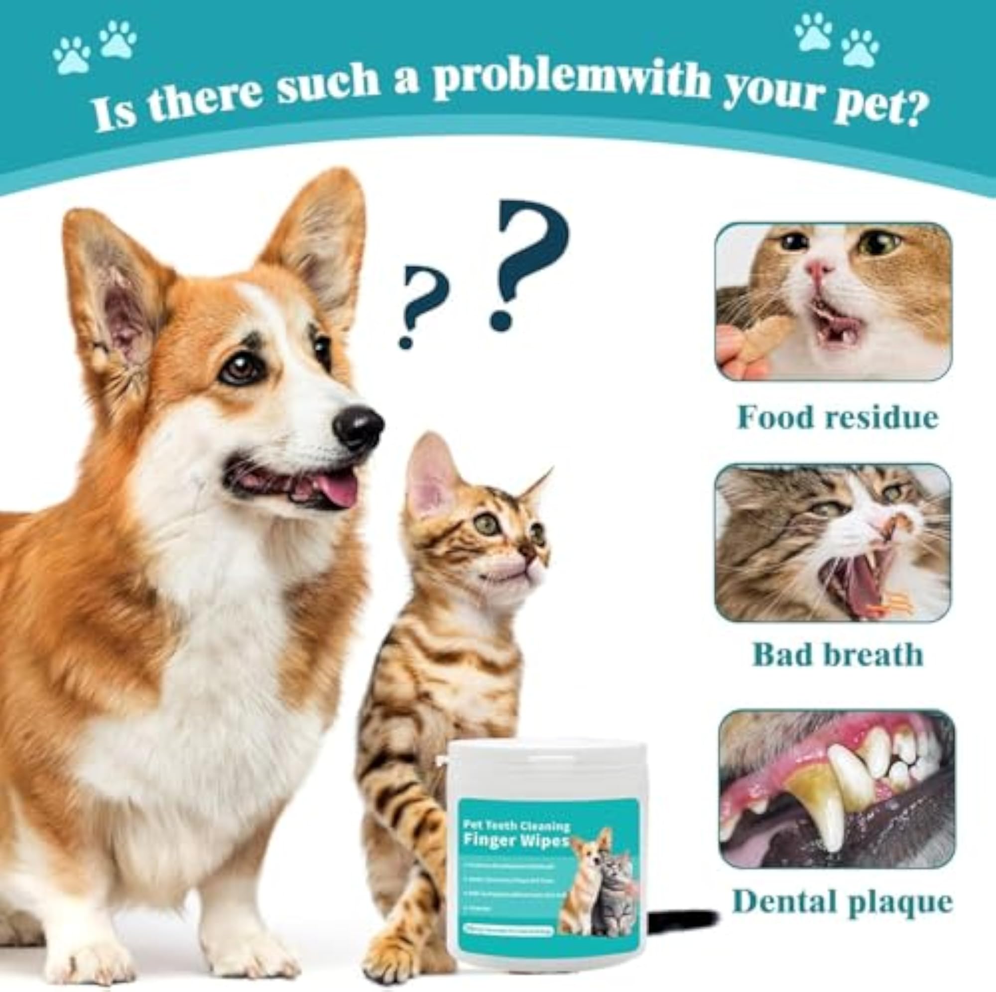 img_11774696