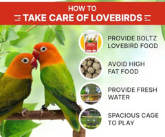 img_10228831