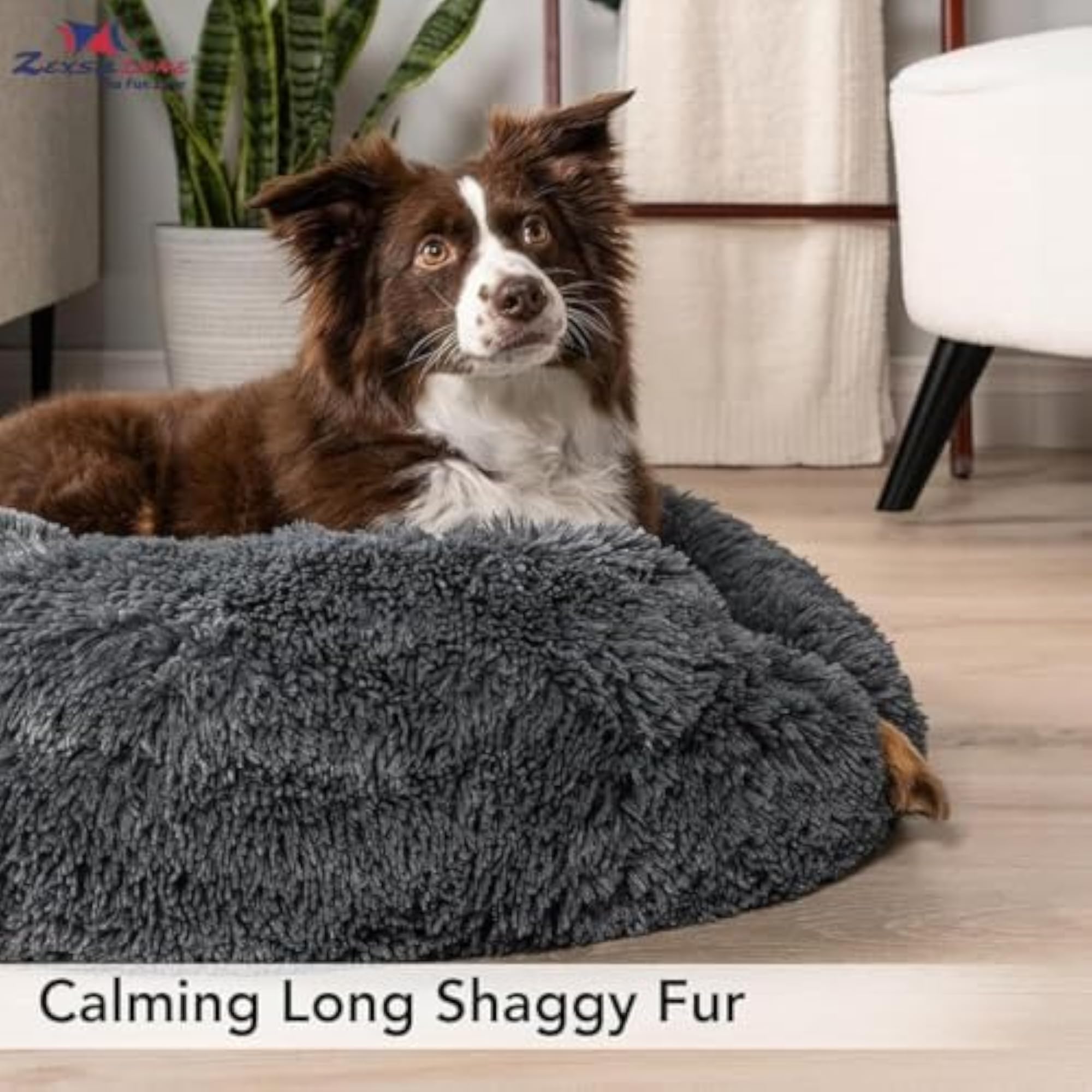 img_11776960