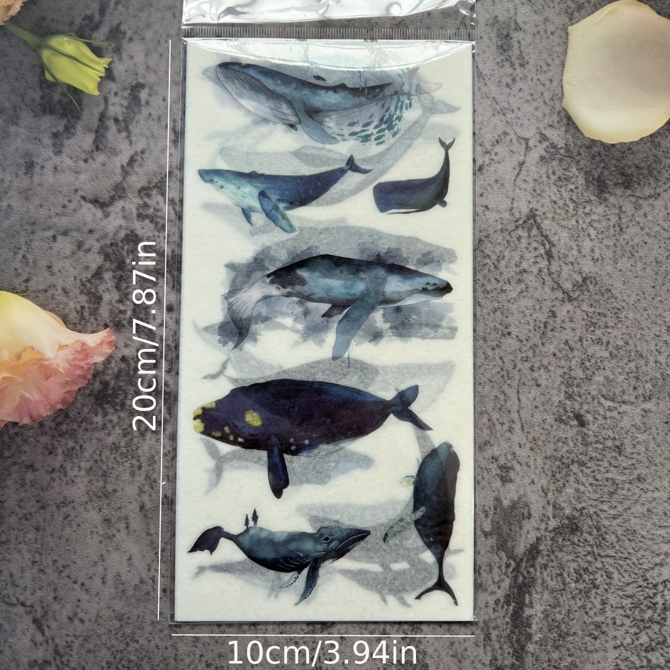 Whale Ocean Animal Stickers for DIY Notebook and Luggage