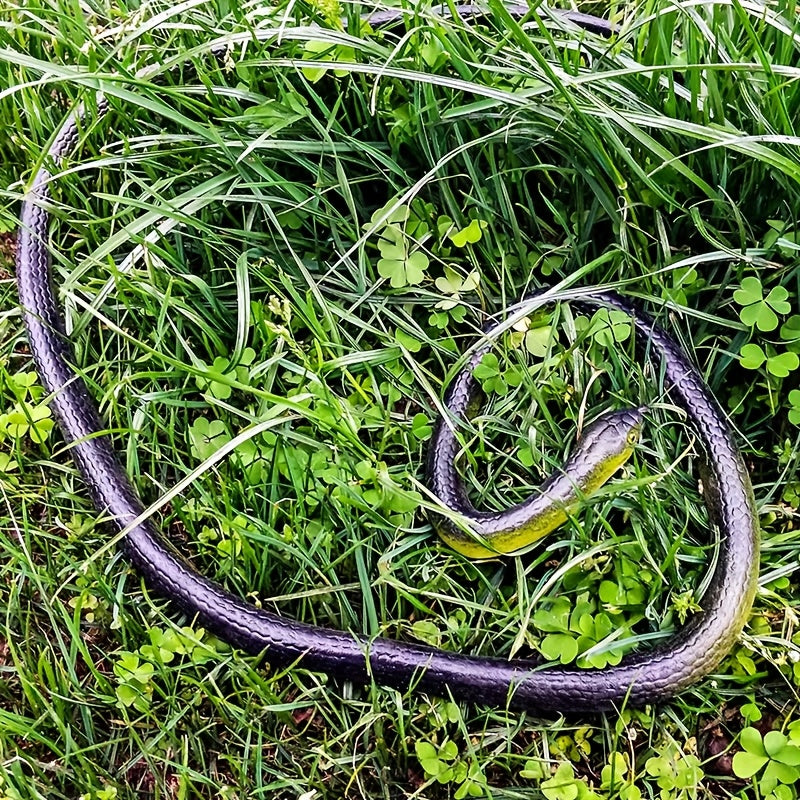 Rubber Snake Prank Toy with String Clip