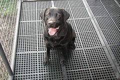 img_11777875