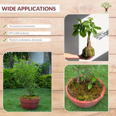 img_8385275