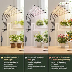 img_15944476