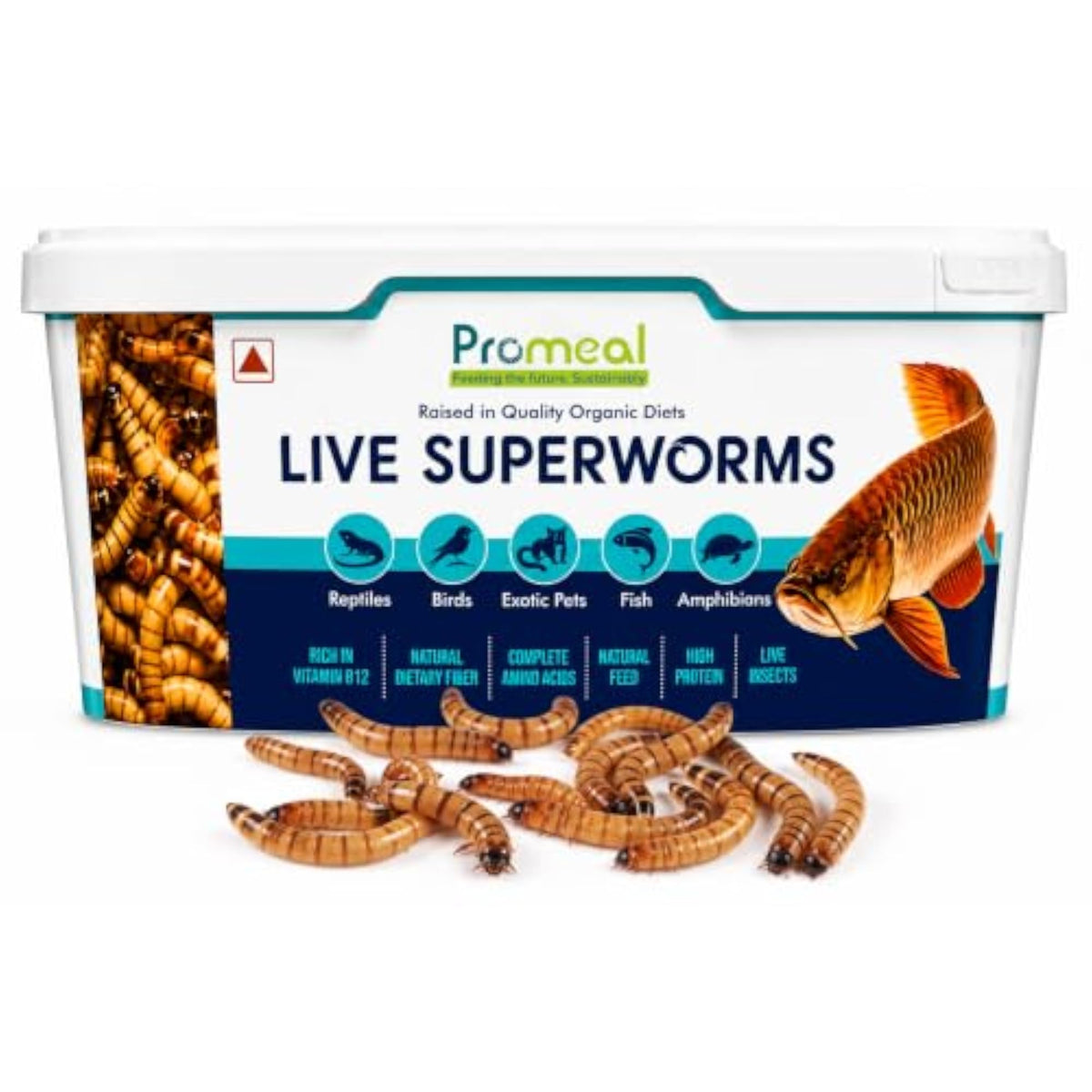 img_16019829