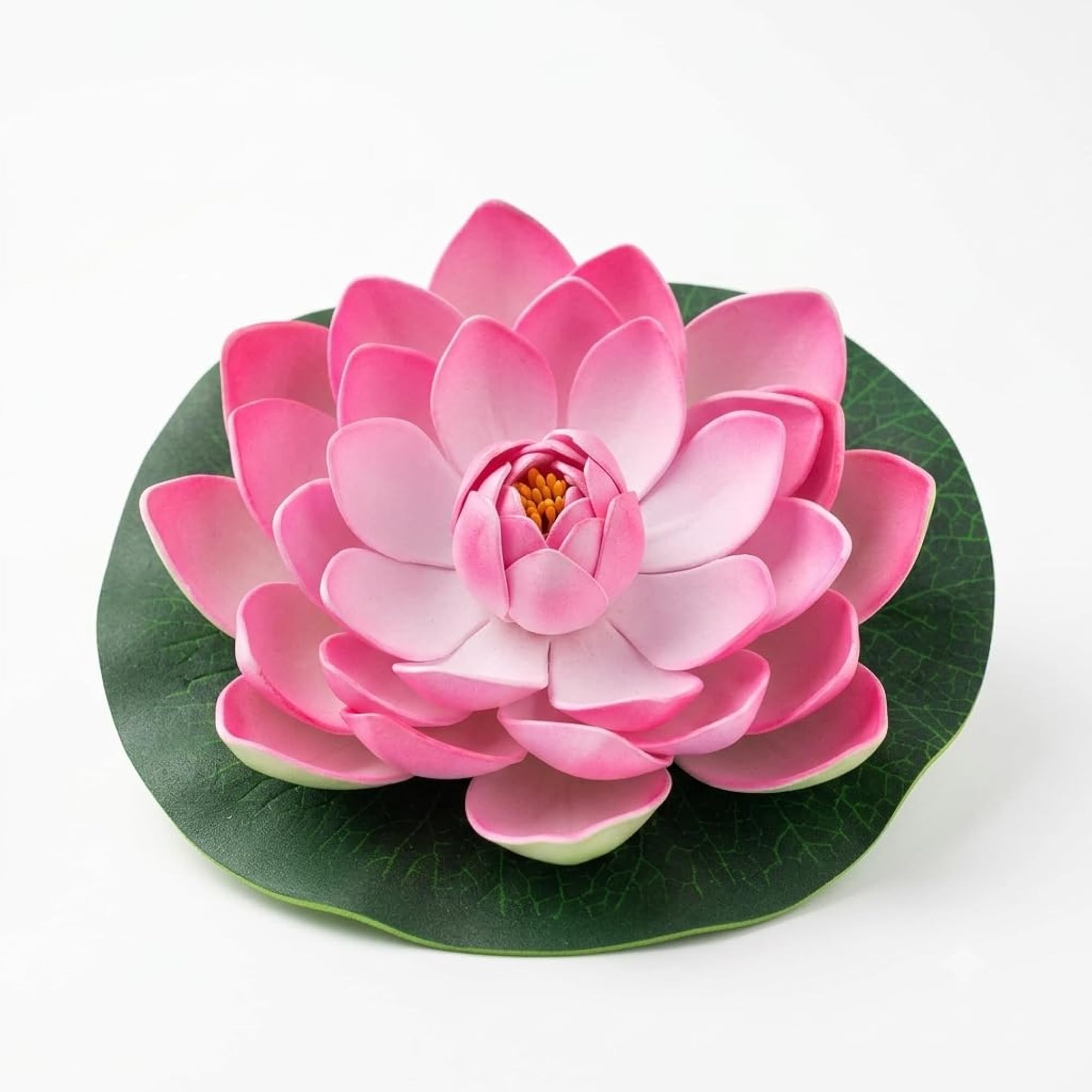 img_20857016