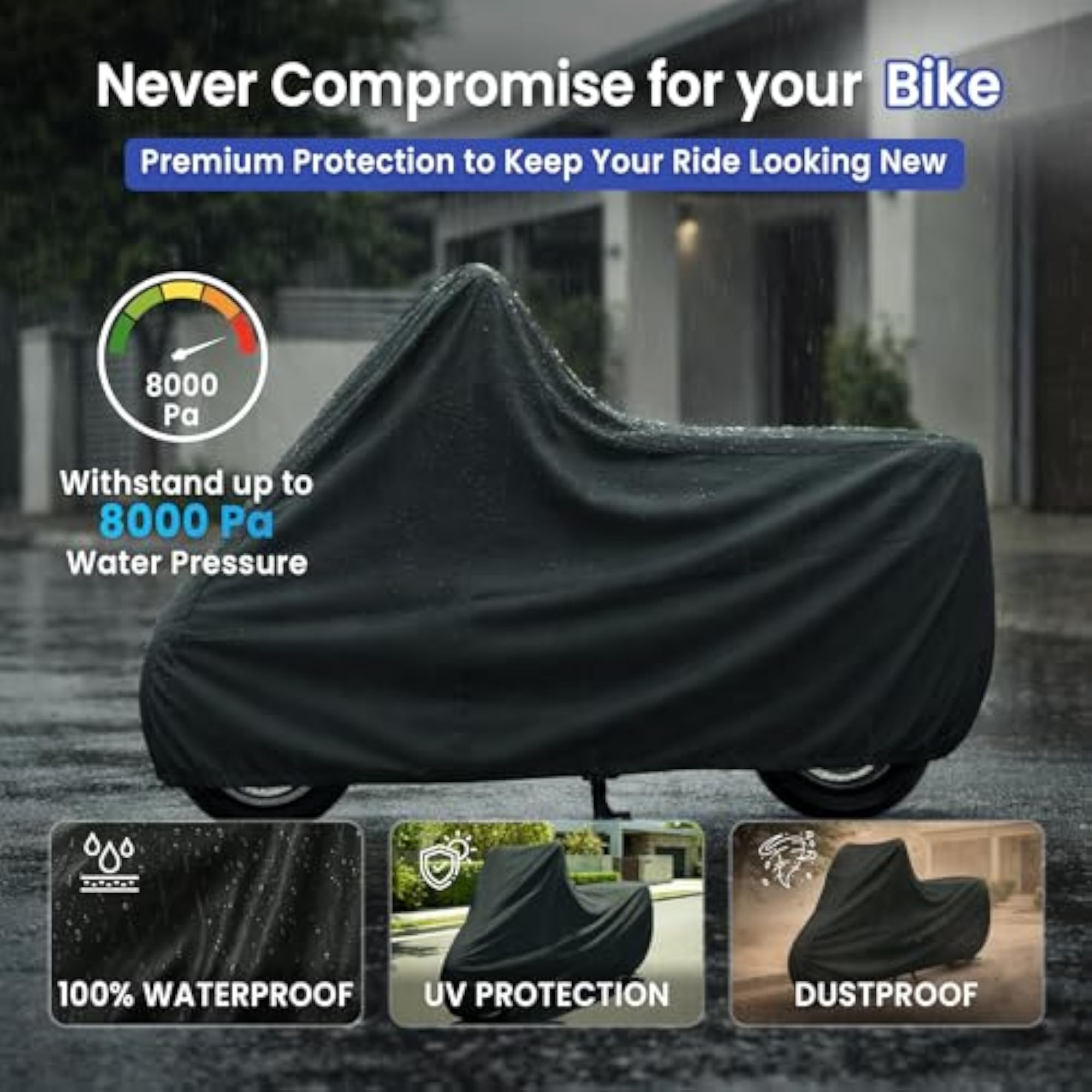 img_10255980