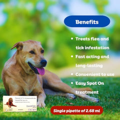 img_11787057