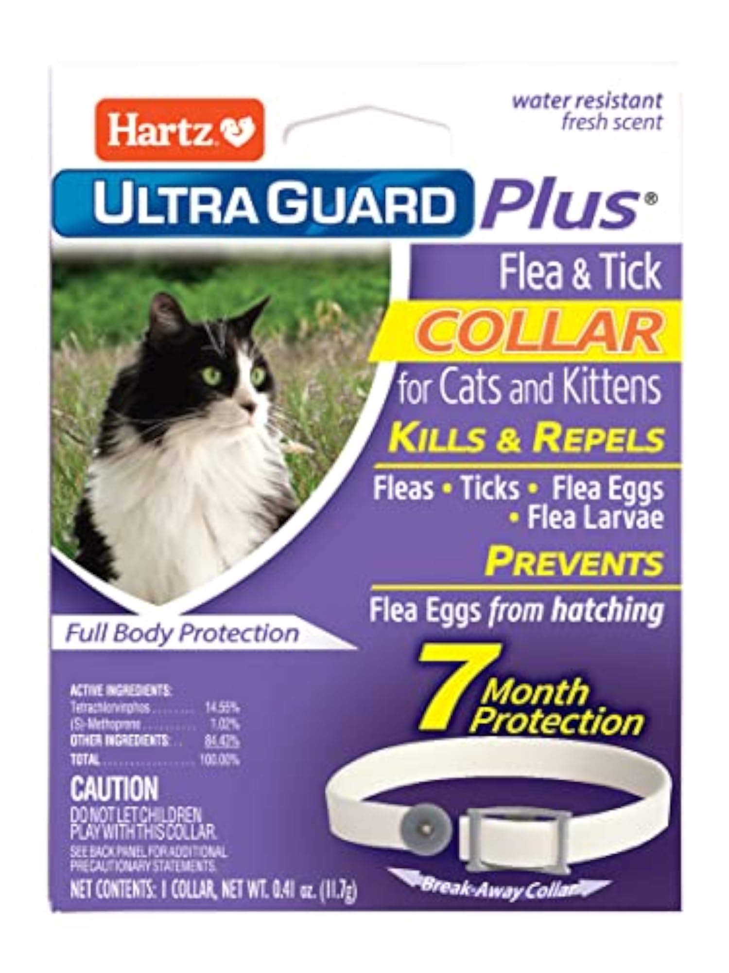 img_15958387