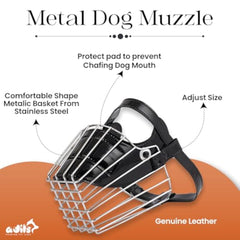 img_11778156