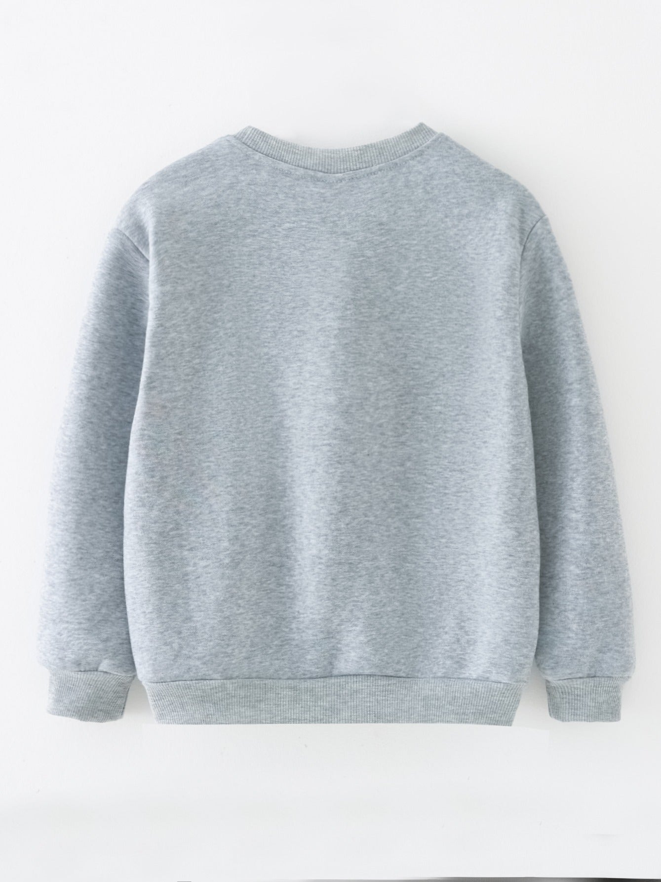 Boys Grey Printed Crew Neck Sweatshirt