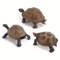 Realistic Turtle Model Toy for Wildlife Learning