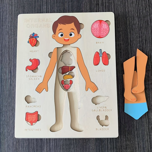 Kids' Wooden Human Body Jigsaw Puzzle Toy