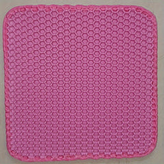 Double Layer Cat Litter Mat Traps Litter Protects Floors Non Slip