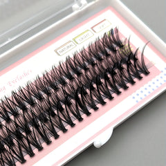 60 Cluster Lashes 30D C Curl 10 12 14 16mm Individual Lash Extensions