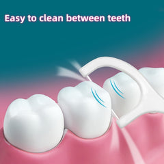 30pcs Floss Picks Set Dental Floss Portable Dispenser Holder Travel Toothpicks
