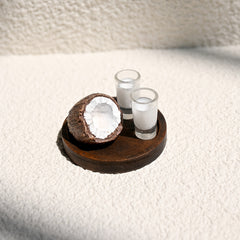 Mini Watermelon & Coconut Drink Set for Dollhouse Toy House Decor