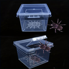 Reptile Breeding Box for Pet Spider Larvae