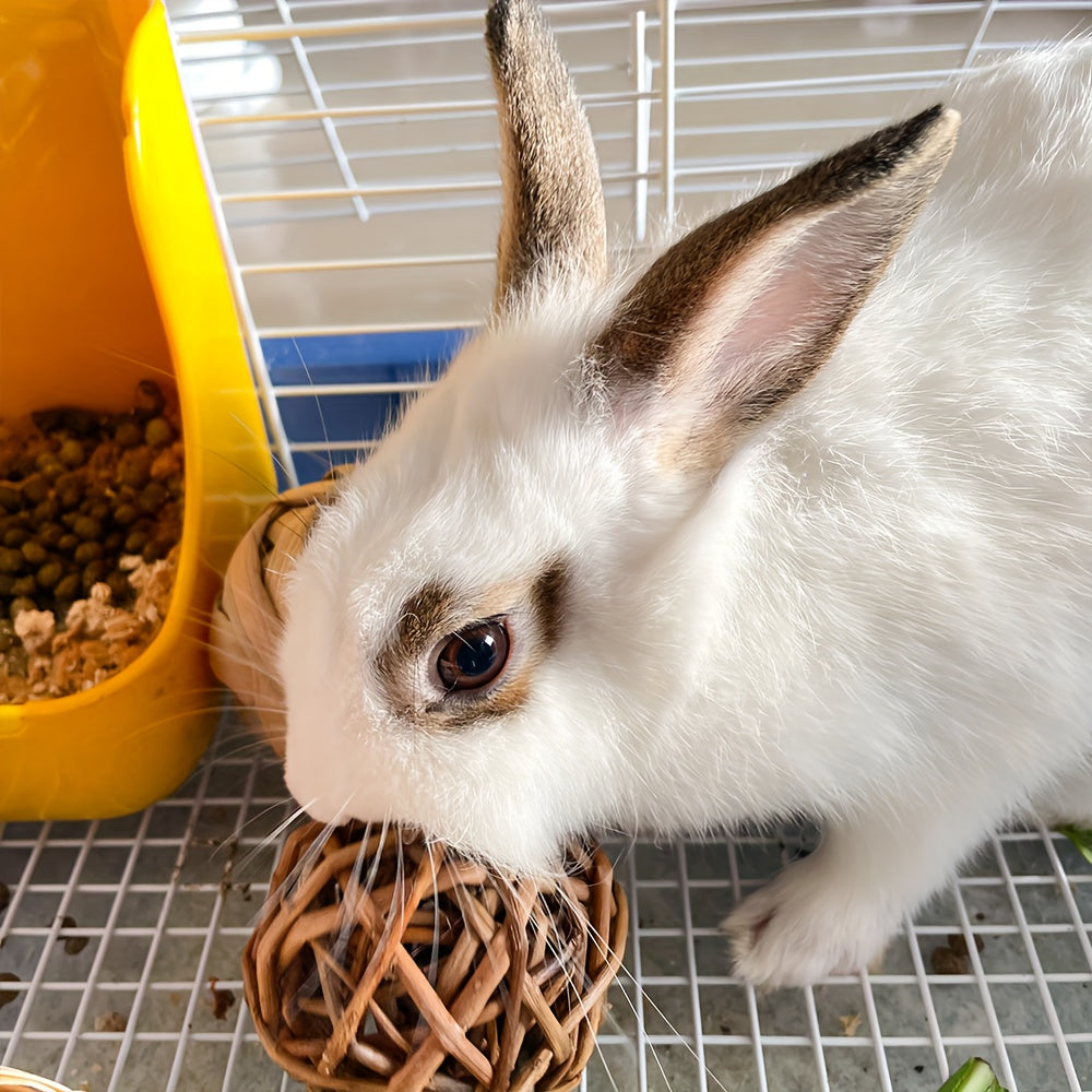 Safe Chew Toys for Small Animals - Hamsters, Guinea Pigs, Chinchillas