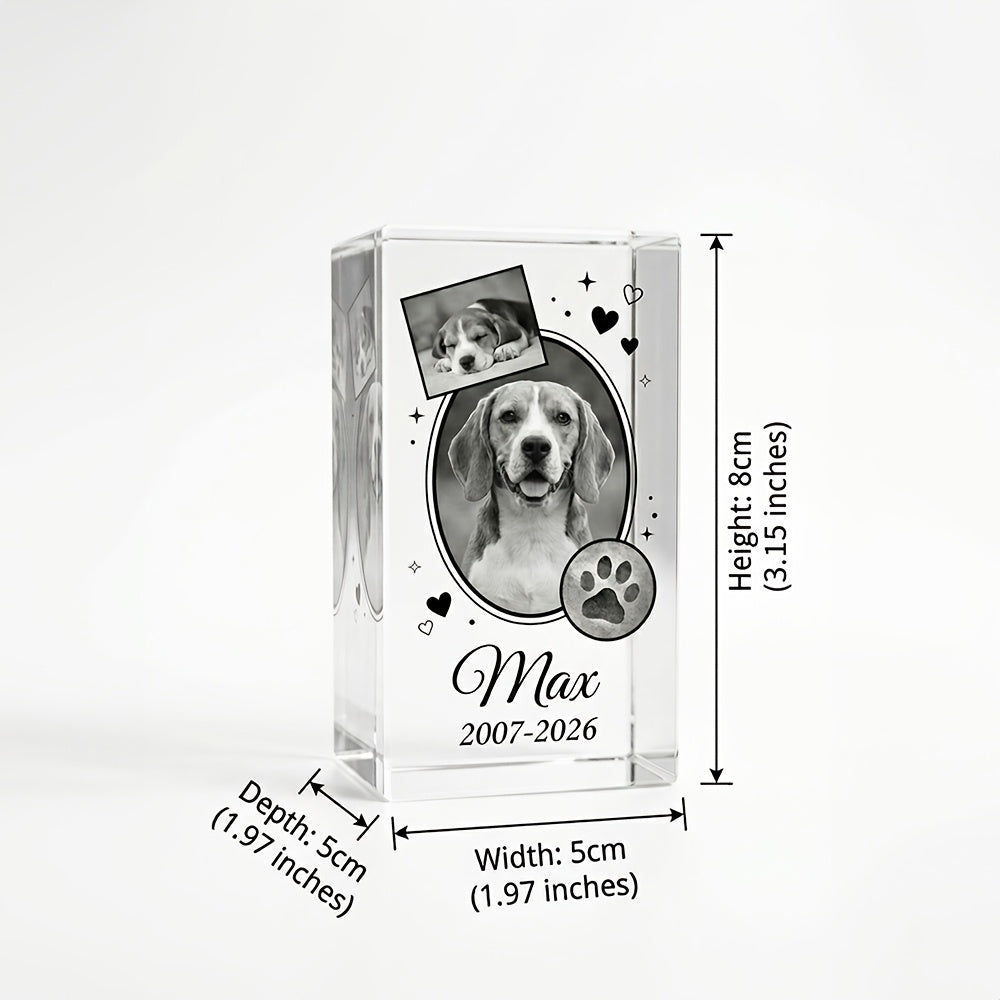 img_6543565
