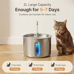 img_11155051
