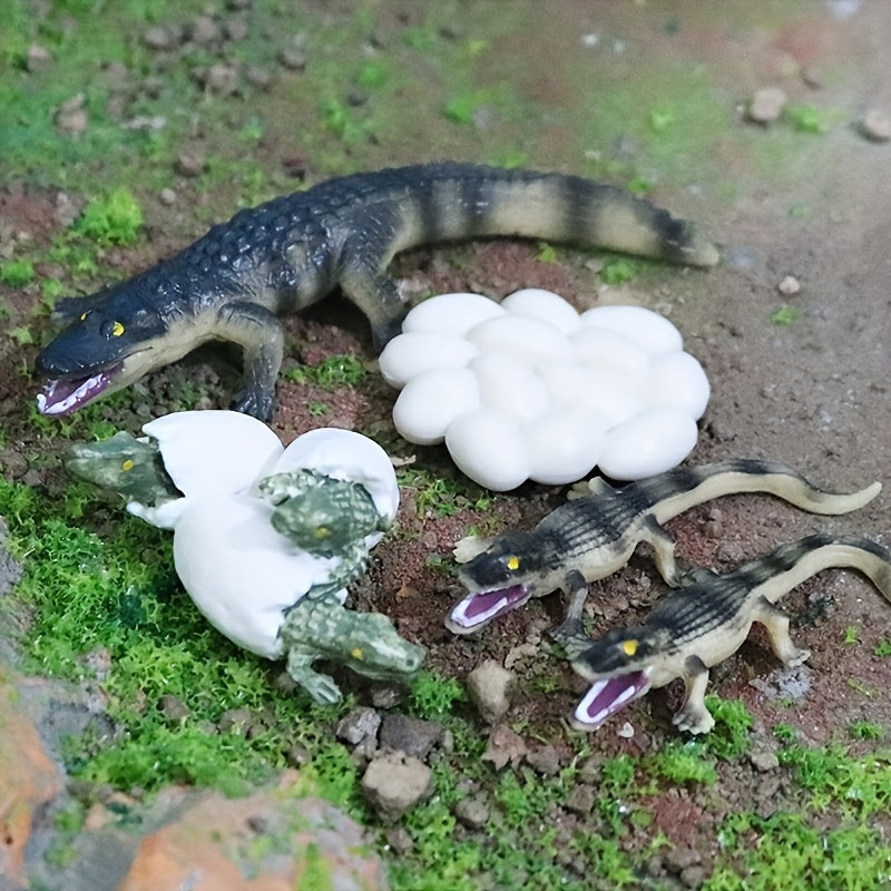 Handcrafted Crocodile Life Cycle Toy Set