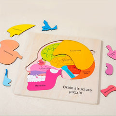 Wooden Brain Anatomy Puzzle for Kids Educational Toy