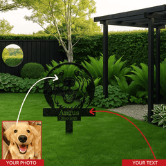 img_6511968