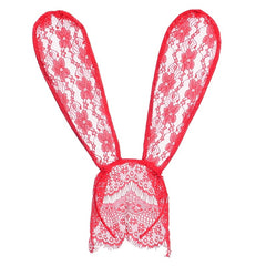 Halloween Lace Bunny Rabbit Ears Veil Mask Costume Party Roleplay