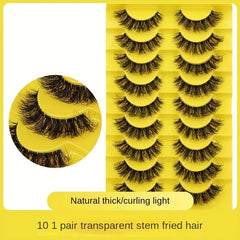 10 Pairs Fluffy Thick False Eyelashes Natural Look Wispy Curly 3D