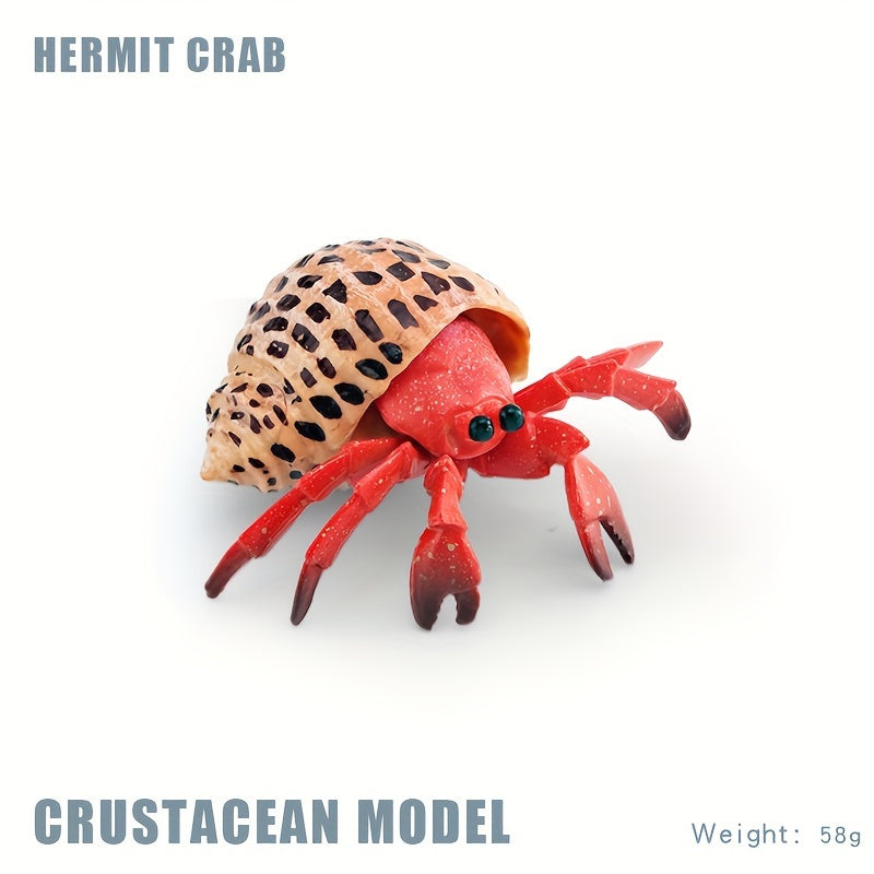 Hermit Crab & Crab Ornament Model