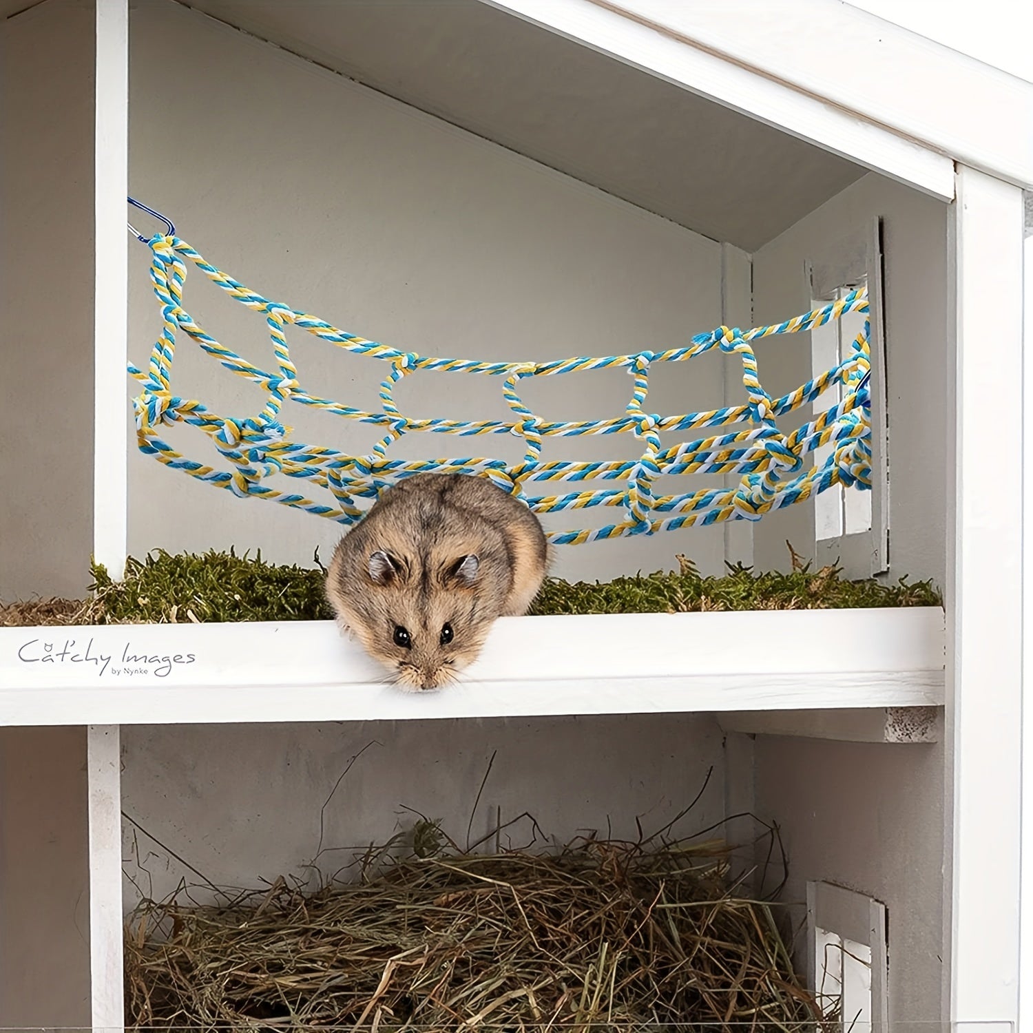 Woven Climbing Toy for Parrots - Ideal Playground for Your Bird