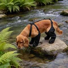 img_4682114