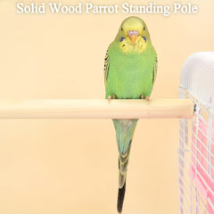 2pcs Bird Perch Stand for Parrots and Parakeets - Essential Accessory