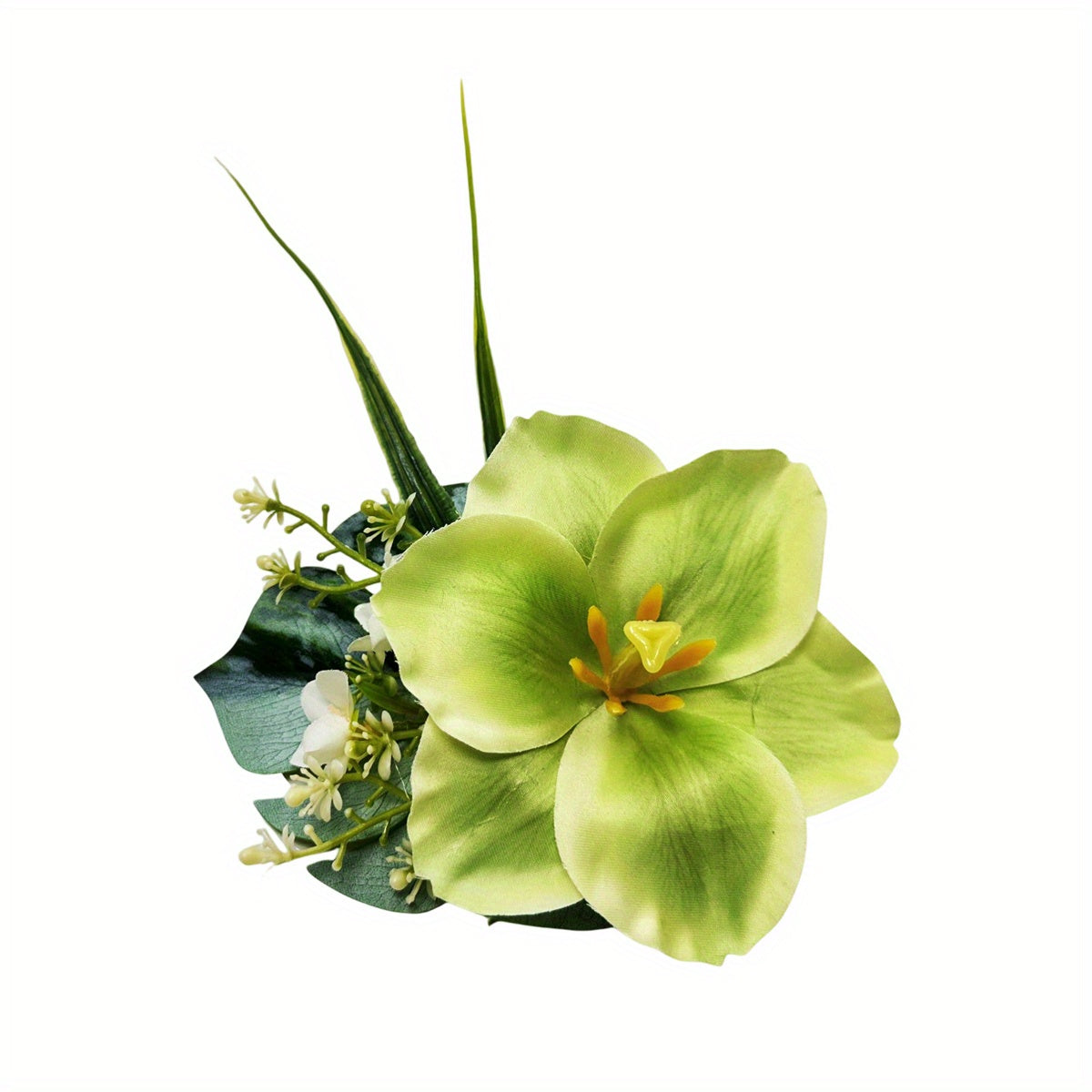 img_7504540