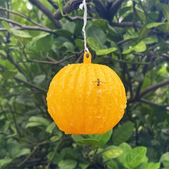 Fruit Shaped Sticky Fly Trap for Garden Mosquitoes, Insects & Flies