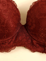 2pcs Contrast Lace Push Up Bras Comfy & Breathable Intimates