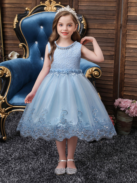 Girls Princess Dress Sleeveless Flower Embroidery Lace Mesh Tutu Dress