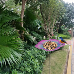 Metal Bird Feeder Stake for Garden Patio - Attractive Bird Bath & Seed Platform