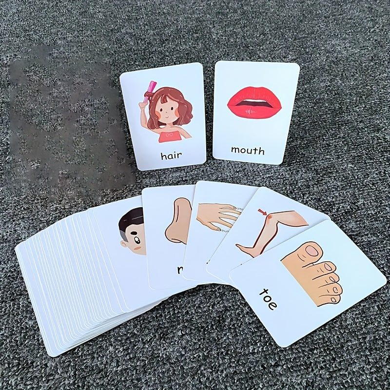 Montessori Body Part Flash Cards for Kids - Educational Toy