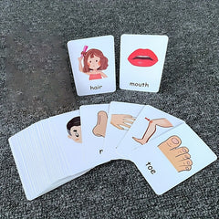 Montessori Body Part Flash Cards for Kids - Educational Toy