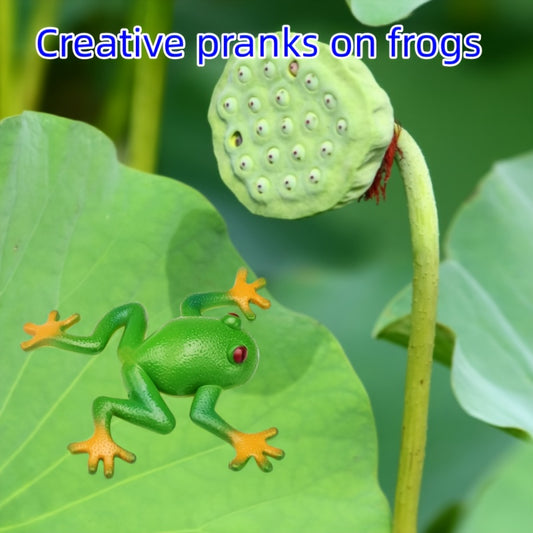 Frog Pinch Toy Soft Glue Animal Particle Decompression Release Ball