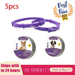 img_5023331