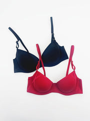 2 Pcs Glossy Push Up Bras Micro Elastic Underwire Lingerie