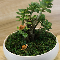 2pcs Mini Snail Resin Ornament for Garden Decor