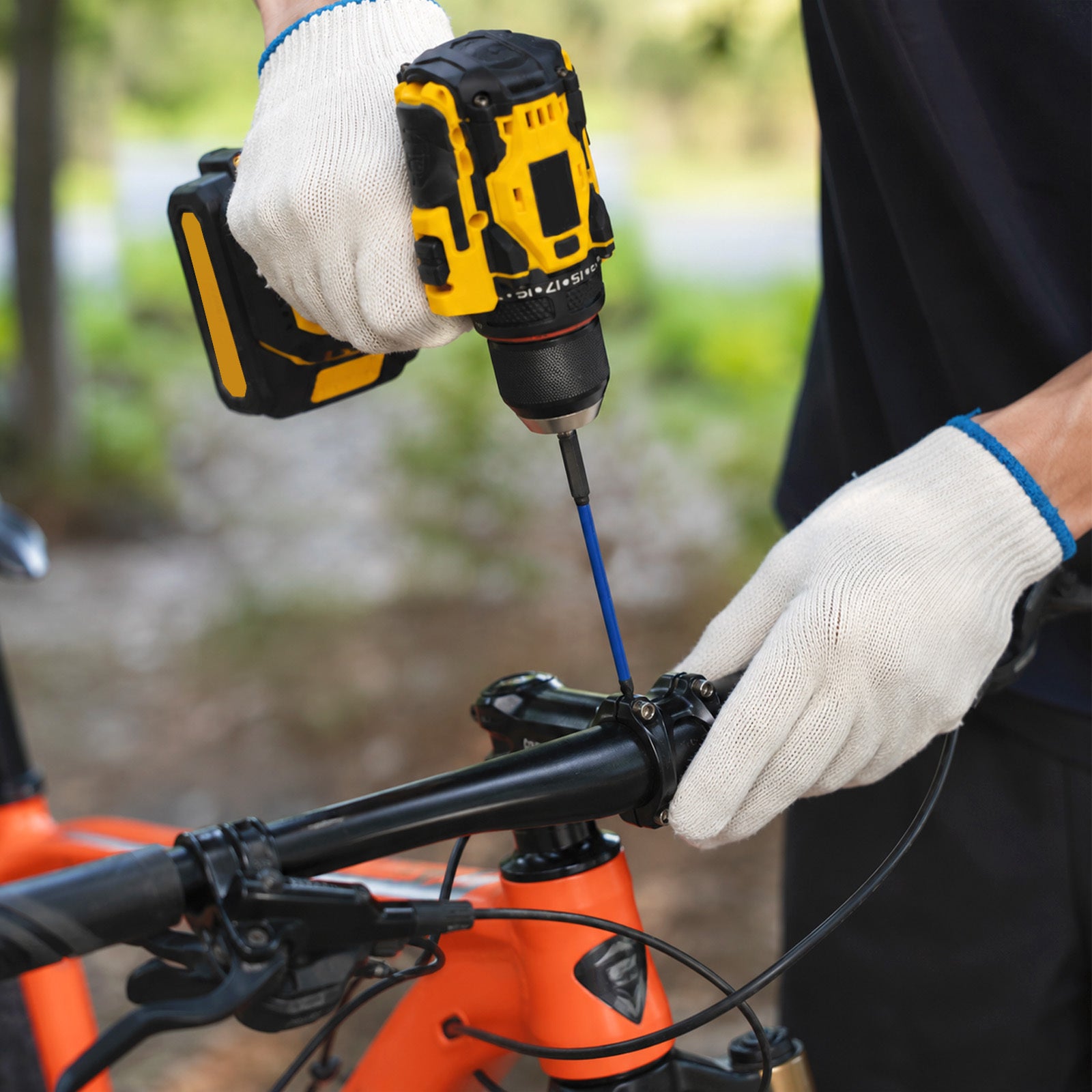 img_10573051