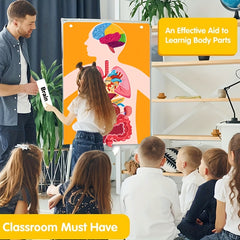 Human Organ Felt Toy Body Anatomy Learning Set