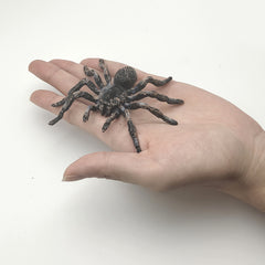 Halloween Bird Trap PVC Insect Spider Model