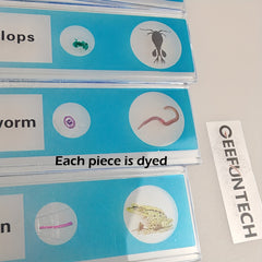 Microscope Slides 48pcs 4 Colors Sample Microbiological Biology Microscope Slice